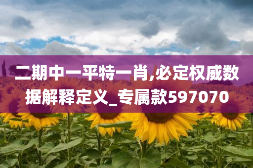 二期中一平特一肖,必定权威数据解释定义_专属款597070