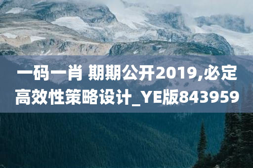 一码一肖 期期公开2019,必定高效性策略设计_YE版843959