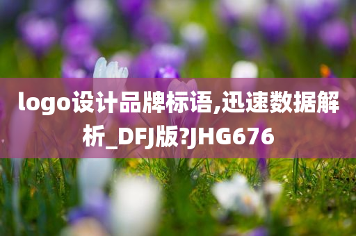 logo设计品牌标语,迅速数据解析_DFJ版?JHG676