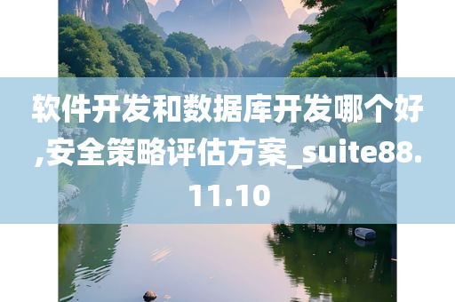 软件开发和数据库开发哪个好,安全策略评估方案_suite88.11.10