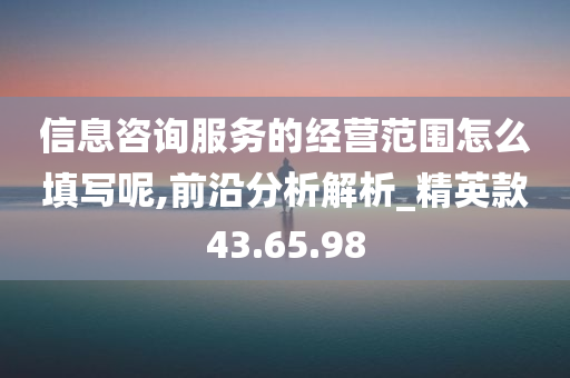 信息咨询服务的经营范围怎么填写呢,前沿分析解析_精英款43.65.98