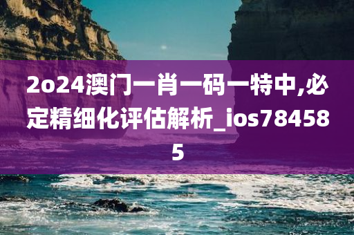 2o24澳门一肖一码一特中,必定精细化评估解析_ios784585