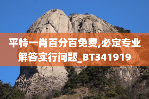 平特一肖百分百免费,必定专业解答实行问题_BT341919