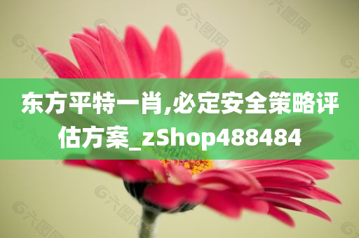 东方平特一肖,必定安全策略评估方案_zShop488484