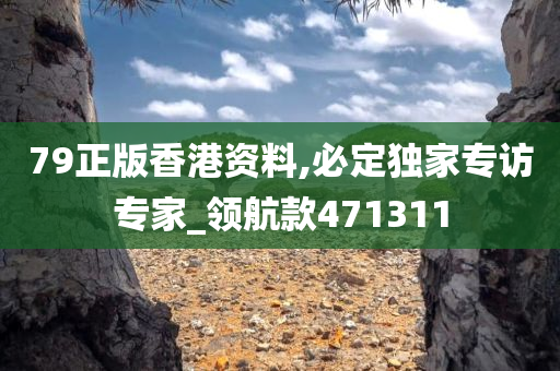 79正版香港资料,必定独家专访专家_领航款471311