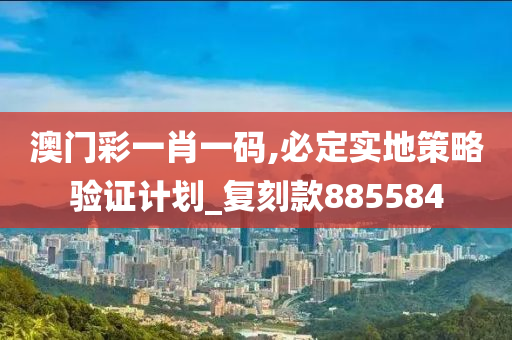 澳门彩一肖一码,必定实地策略验证计划_复刻款885584