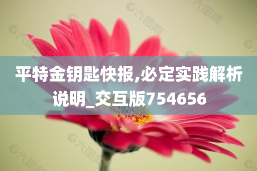 平特金钥匙快报,必定实践解析说明_交互版754656