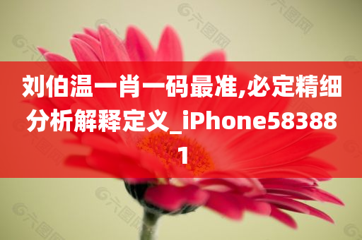 刘伯温一肖一码最准,必定精细分析解释定义_iPhone583881