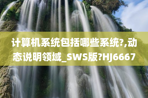 计算机系统包括哪些系统?,动态说明领域_SWS版?HJ6667