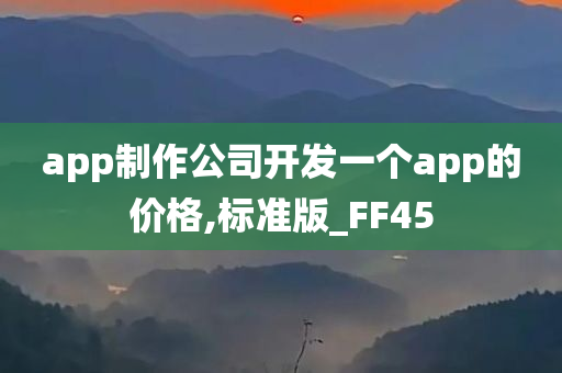 app制作公司开发一个app的价格,标准版_FF45