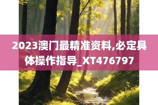 2023澳门最精准资料,必定具体操作指导_XT476797