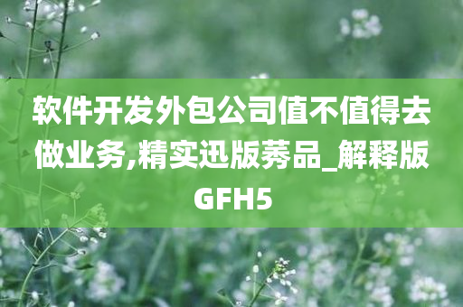 软件开发外包公司值不值得去做业务,精实迅版莠品_解释版GFH5