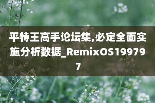 平特王高手论坛集,必定全面实施分析数据_RemixOS199797