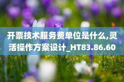 开票技术服务费单位是什么,灵活操作方案设计_HT83.86.60