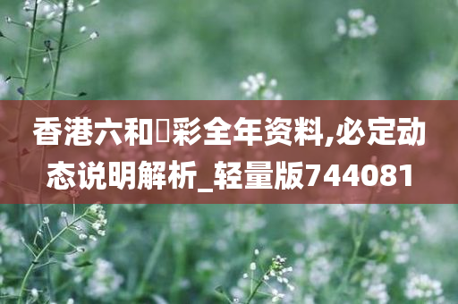 香港六和釆彩全年资料,必定动态说明解析_轻量版744081