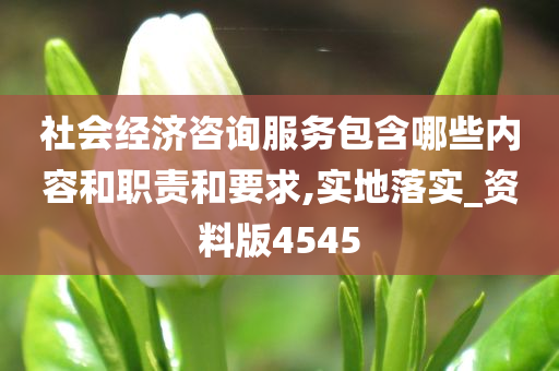 社会经济咨询服务包含哪些内容和职责和要求,实地落实_资料版4545