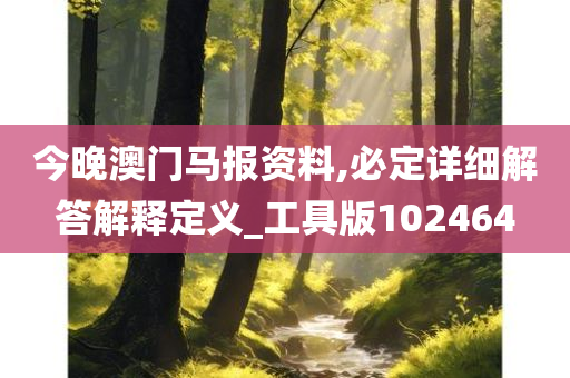 今晚澳门马报资料,必定详细解答解释定义_工具版102464