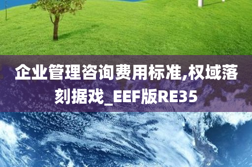 企业管理咨询费用标准,权域落刻据戏_EEF版RE35