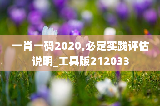 一肖一码2020,必定实践评估说明_工具版212033