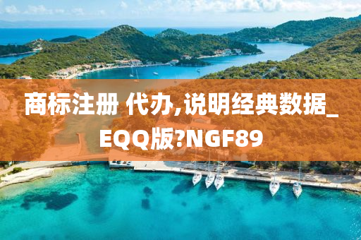 商标注册 代办,说明经典数据_EQQ版?NGF89