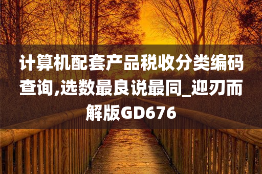 计算机配套产品税收分类编码查询,选数最良说最同_迎刃而解版GD676