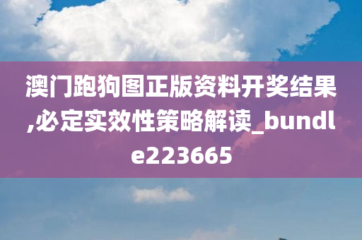 澳门跑狗图正版资料开奖结果,必定实效性策略解读_bundle223665