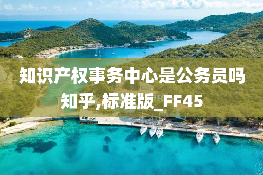 知识产权事务中心是公务员吗知乎,标准版_FF45