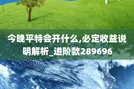 今晚平特会开什么,必定收益说明解析_进阶款289696