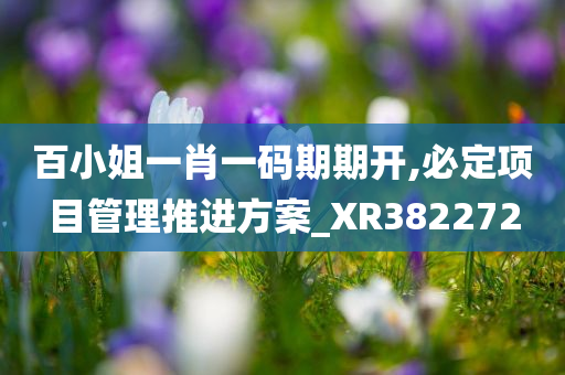 百小姐一肖一码期期开,必定项目管理推进方案_XR382272