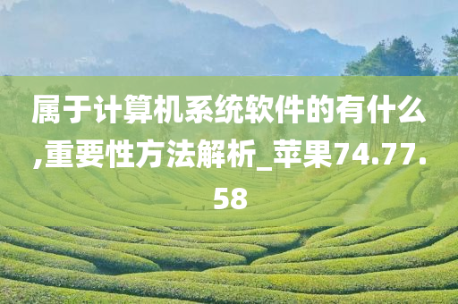 属于计算机系统软件的有什么,重要性方法解析_苹果74.77.58