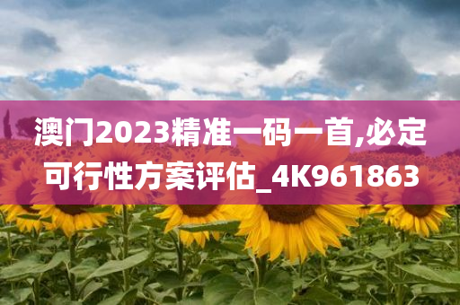 澳门2023精准一码一首,必定可行性方案评估_4K961863