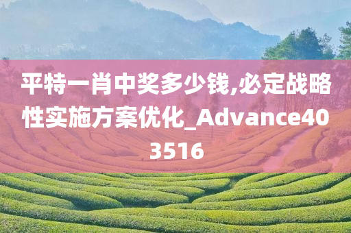 平特一肖中奖多少钱,必定战略性实施方案优化_Advance403516