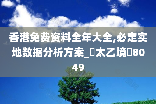 香港免费资料全年大全,必定实地数据分析方案_‌太乙境‌8049