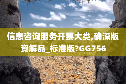 信息咨询服务开票大类,确深版资解品_标准版?GG756