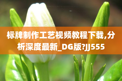 标牌制作工艺视频教程下载,分析深度最新_DG版?JJ555