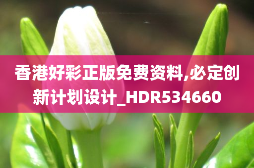 香港好彩正版免费资料,必定创新计划设计_HDR534660