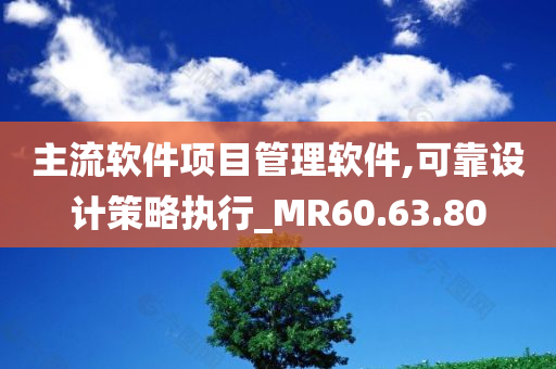 主流软件项目管理软件,可靠设计策略执行_MR60.63.80