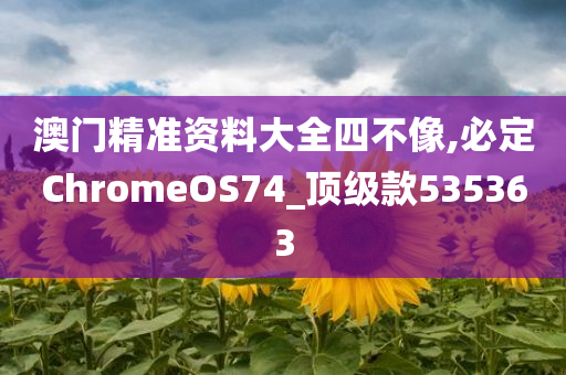 澳门精准资料大全四不像,必定ChromeOS74_顶级款535363