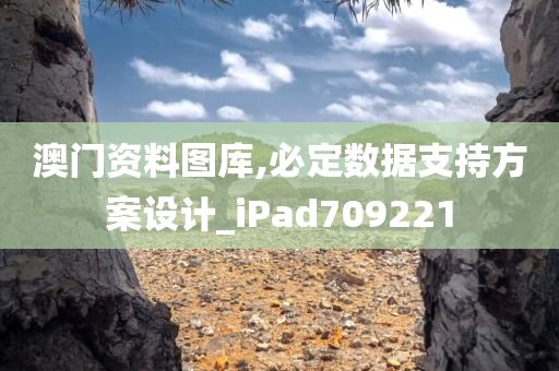 澳门资料图库,必定数据支持方案设计_iPad709221