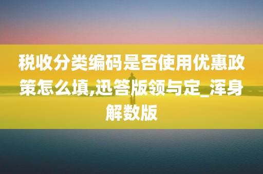 税收分类编码是否使用优惠政策怎么填,迅答版领与定_浑身解数版