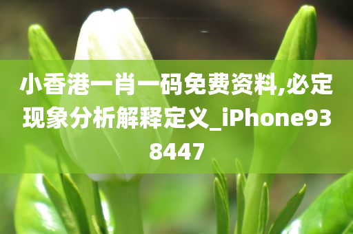 小香港一肖一码免费资料,必定现象分析解释定义_iPhone938447