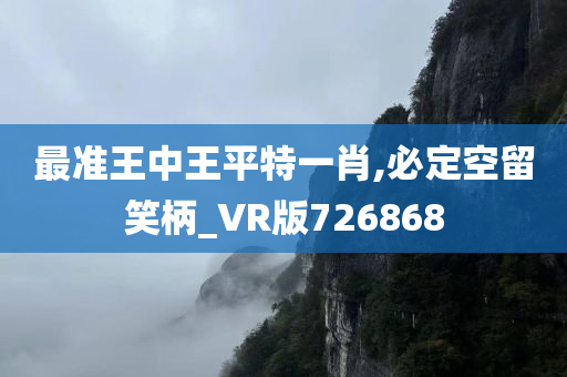 最准王中王平特一肖,必定空留笑柄_VR版726868