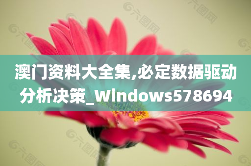 澳门资料大全集,必定数据驱动分析决策_Windows578694