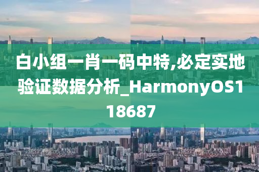 白小组一肖一码中特,必定实地验证数据分析_HarmonyOS118687