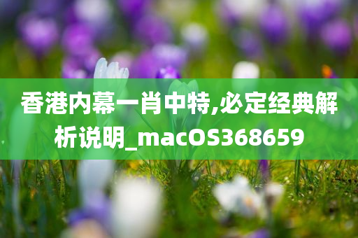 香港内幕一肖中特,必定经典解析说明_macOS368659