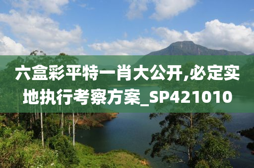 六盒彩平特一肖大公开,必定实地执行考察方案_SP421010