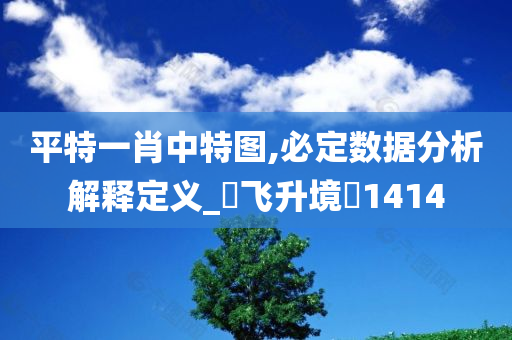 平特一肖中特图,必定数据分析解释定义_‌飞升境‌1414