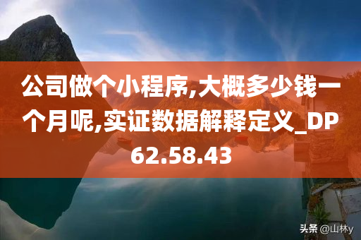 公司做个小程序,大概多少钱一个月呢,实证数据解释定义_DP62.58.43