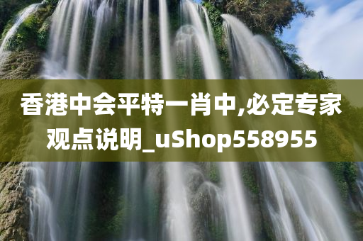 香港中会平特一肖中,必定专家观点说明_uShop558955