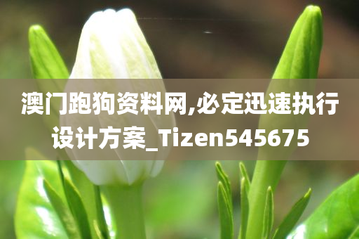 澳门跑狗资料网,必定迅速执行设计方案_Tizen545675